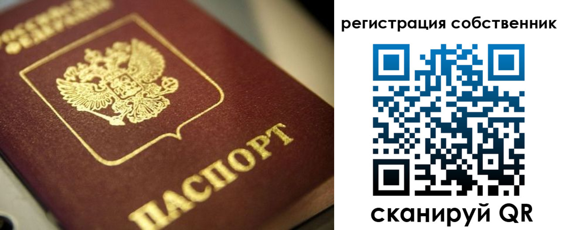 прописка в Полярном